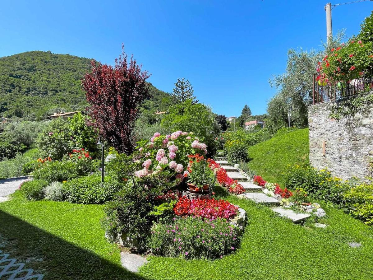 Breva Loft Tra Gli Ulivi Ed Il Lago Bellagio Exterior photo